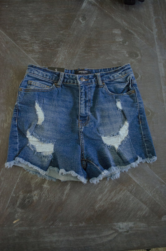 High Rise Distressed Shorts